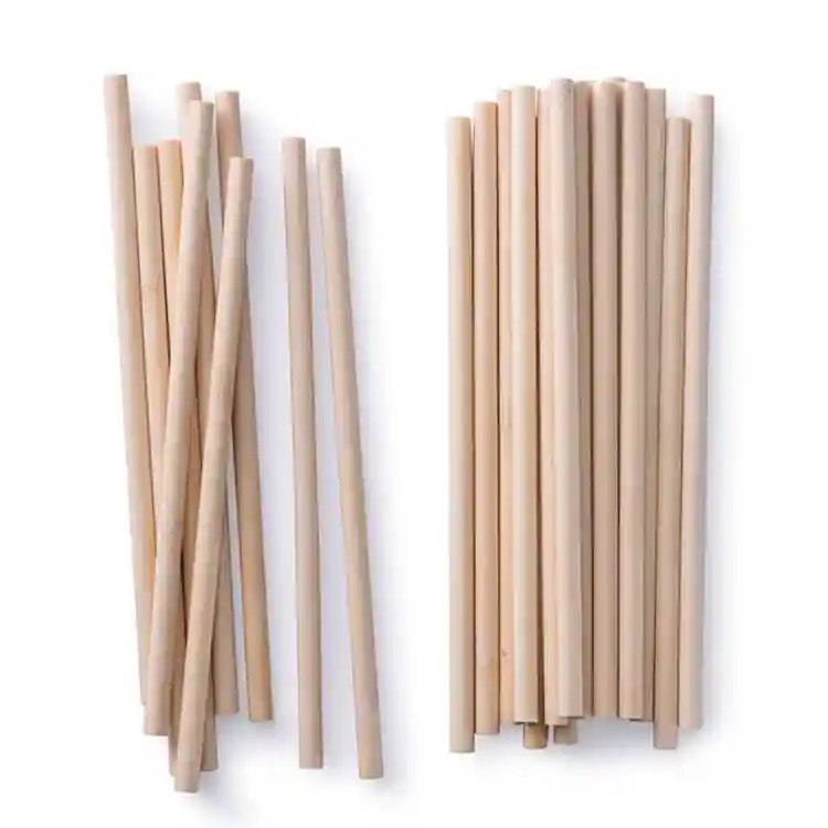 Bamboo_Straws_750x750